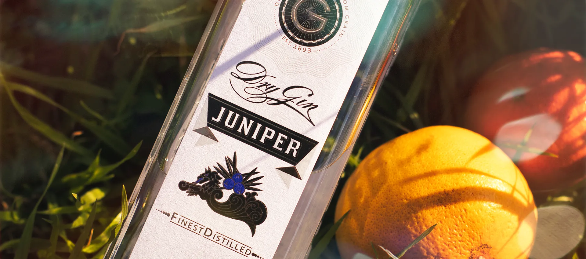 internal cover image